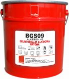 BGS09
