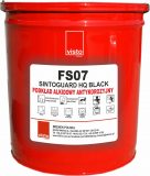 FS07